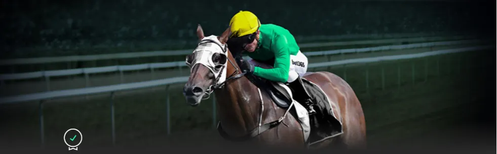 冬奥辉煌延,小萨马兰奇,点赞中国冰,Bet365最新网址,最新网址,体育博彩,安全入口,体育平台,在线投注